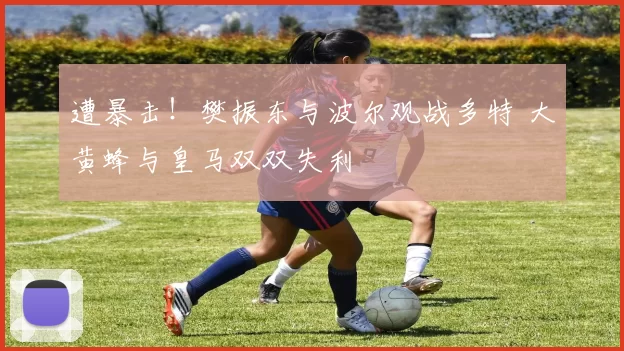 遭暴击！樊振东与波尔观战多特 大黄蜂与皇马双双失利