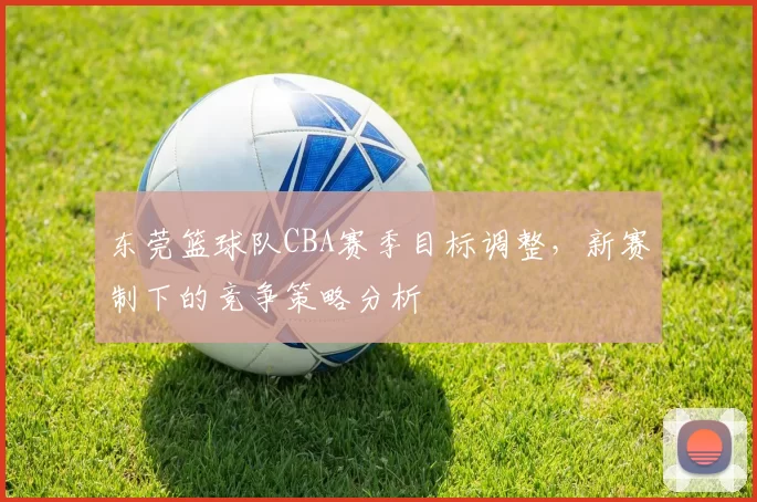 东莞篮球队CBA赛季目标调整，新赛制下的竞争策略分析