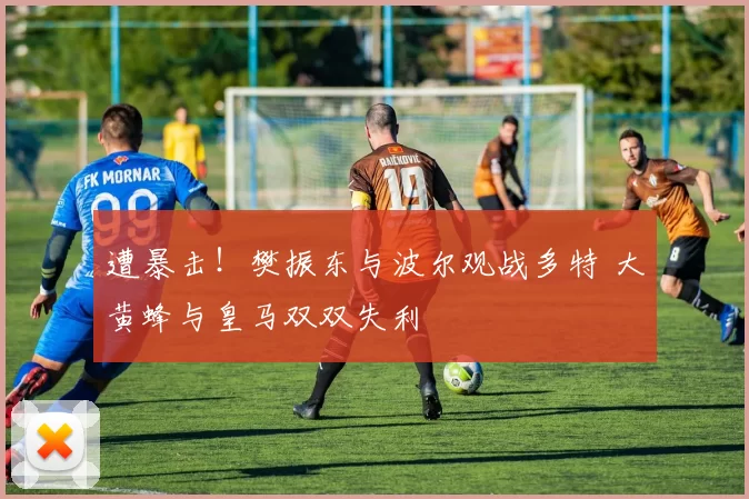 遭暴击！樊振东与波尔观战多特 大黄蜂与皇马双双失利