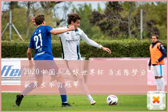 2020中国乒乓球世界杯 马龙陈梦分获男女单打冠军